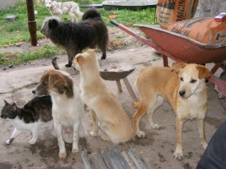 Florica, Flavio, Emma und Madita